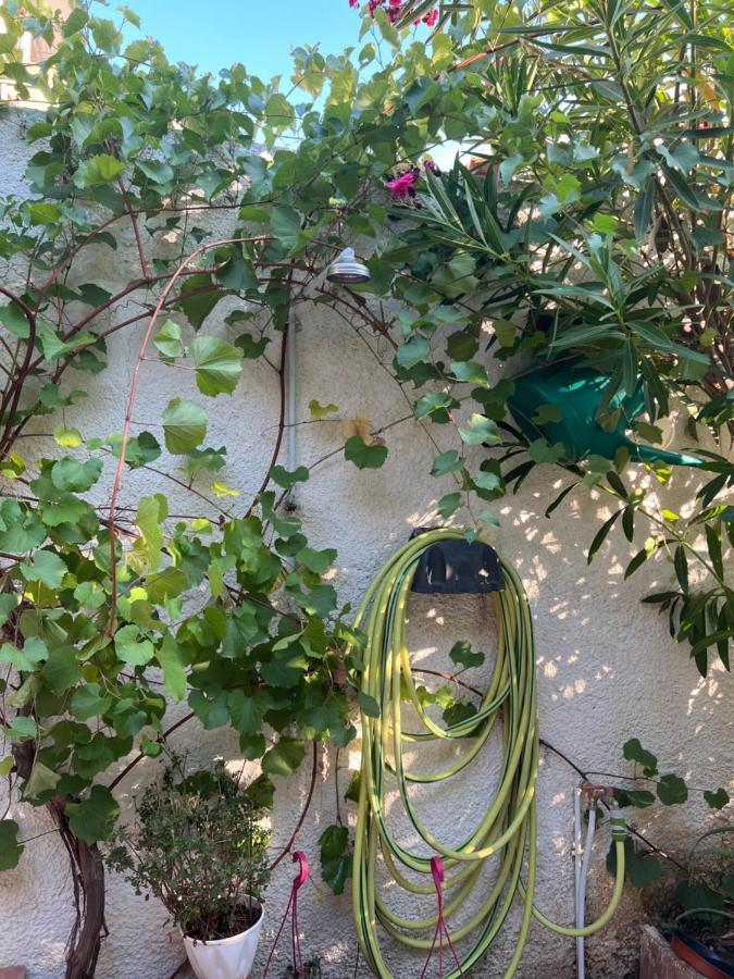 Cosy Guesthouse-Souterrain With Garden In City Center Corinth Екстериор снимка