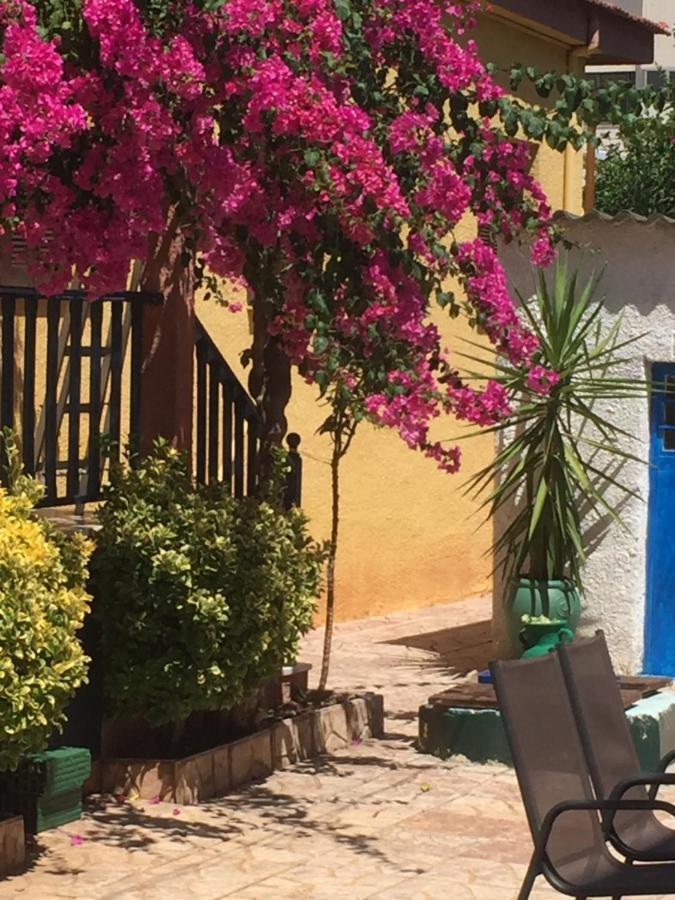 Cosy Guesthouse-Souterrain With Garden In City Center Corinth Екстериор снимка