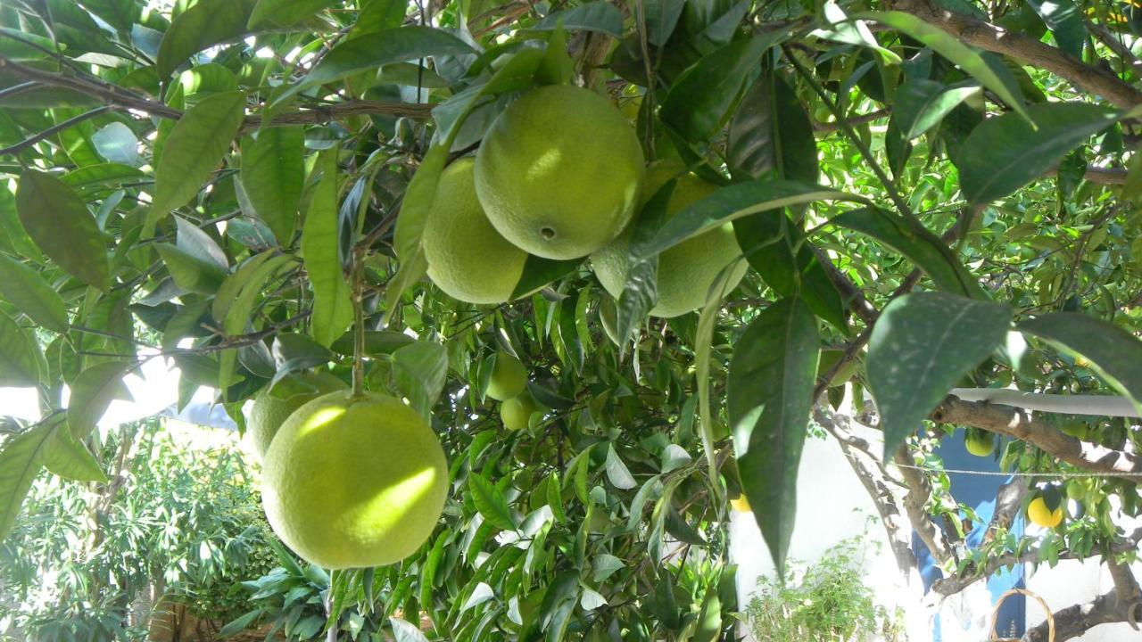 Cosy Guesthouse-Souterrain With Garden In City Center Corinth Екстериор снимка